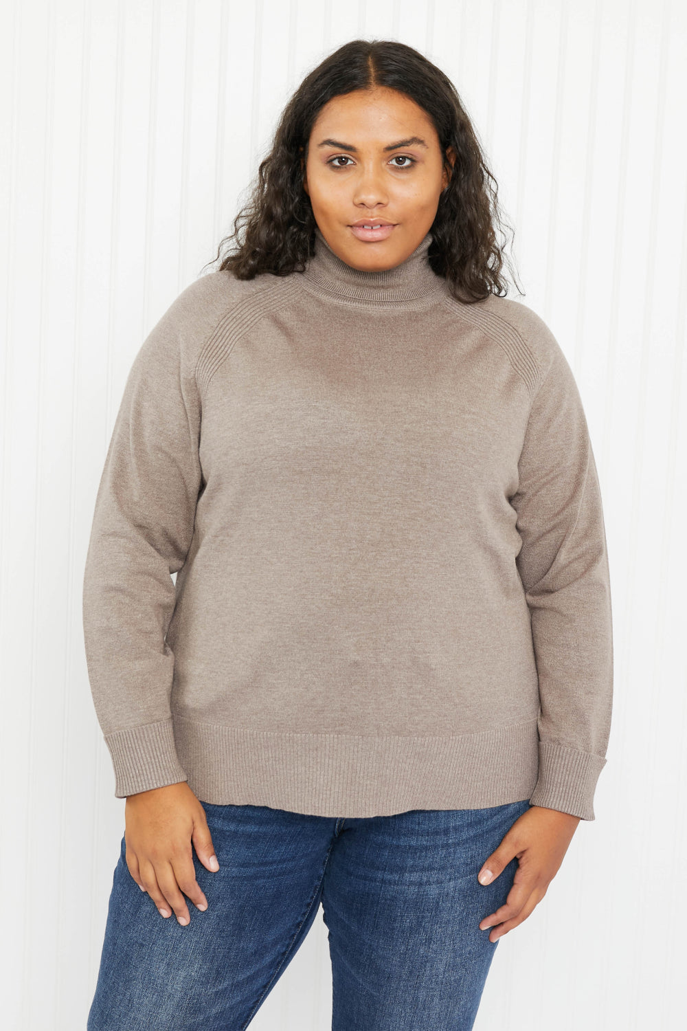 Emerald Collection Northwest Full Size Ribbed Detail Turtleneck Sweater -
